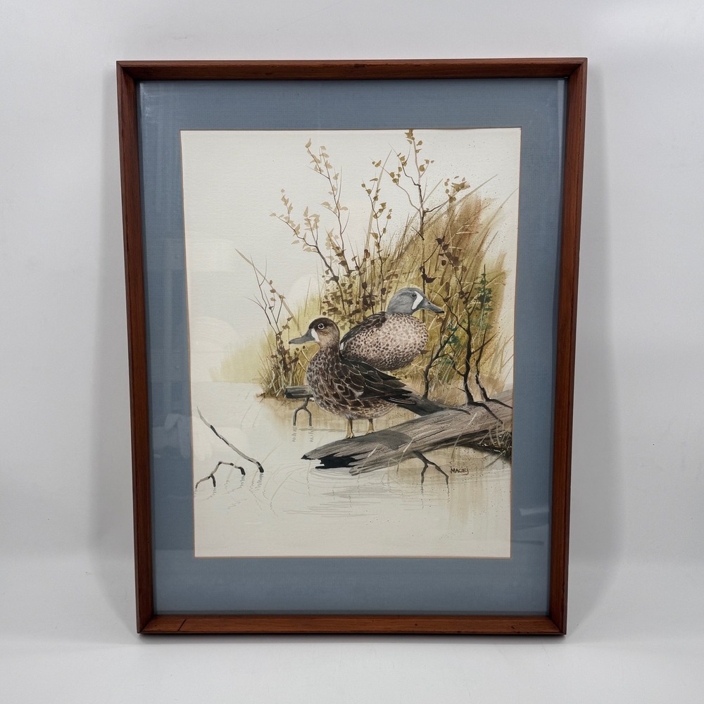 Vintage Original Duck Watercolor